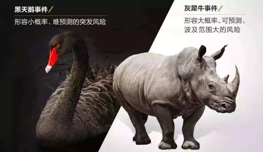 风险理论金融17级